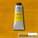 Winsor & Newton Galeria Acrylic Paint 60ml
