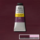 Winsor & Newton Galeria Acrylic Paint 60ml