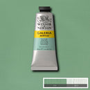Winsor & Newton Galeria Acrylic Paint 60ml
