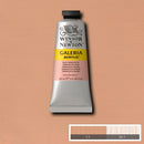 Winsor & Newton Galeria Acrylic Paint 60ml
