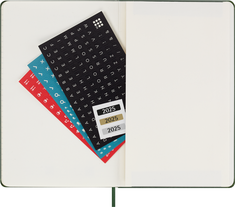 Moleskine 12 Month Daily HC Large Diaries
