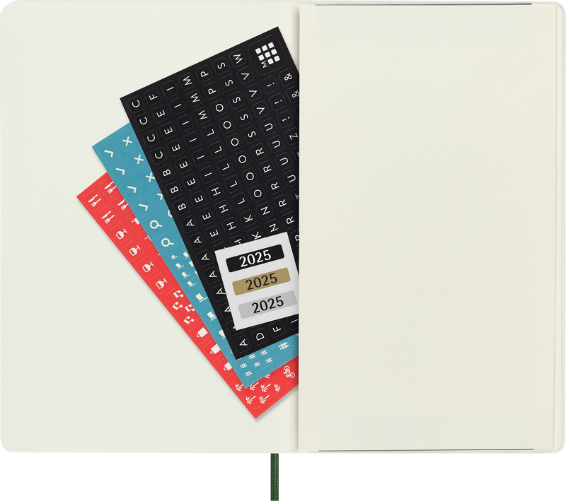 Moleskine 12 Month Daily SC Large Diaries