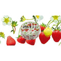MT 15mm x 7m Patterned Washi Tapes#Colour_EX STRAWBERRY