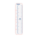 Debden Desk Today Ruler 2 Pack Dayplanner Refill