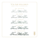 Ferris Wheel Press The Adventurers Collection Lady Didot Extra Fine Fountain Pen Nib