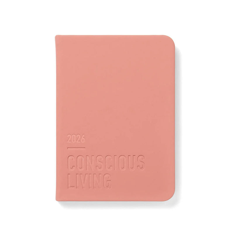 Letts of London Diaries Conscious Day to Page Clay 2026