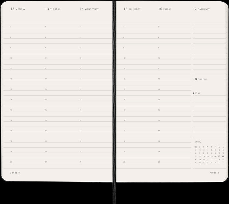 Moleskine Diaries 12 Month Pro Weekly Vertical HC Black 2026