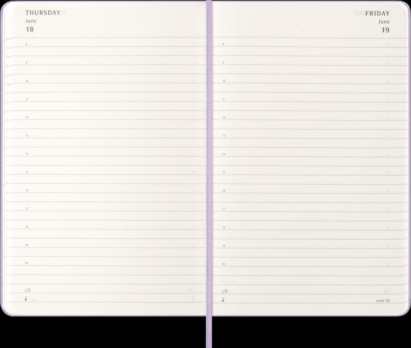 Moleskine Diaries 12 Month Daily HC Large 2026