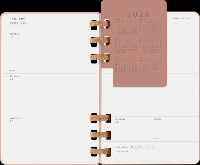 Moleskine 12 Month Spiral Planner HC Large Almond 2026