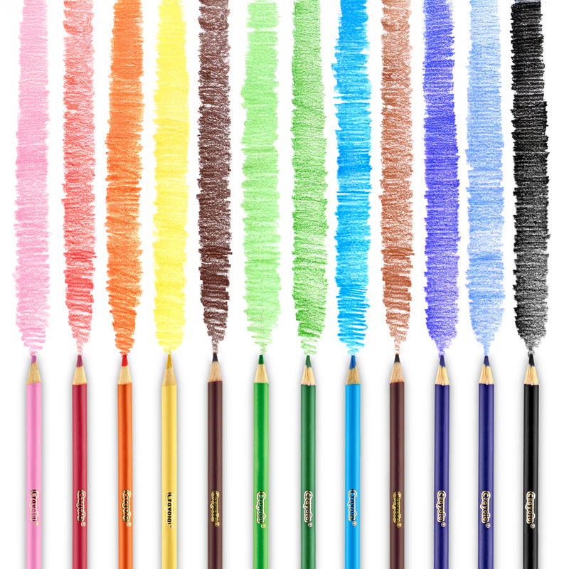 Crayola Coloured Pencils Classroom Set of 240 Pieces