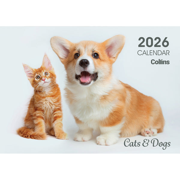 Collins Rosebank Wall Calendar A4 Cats & Dogs 2026