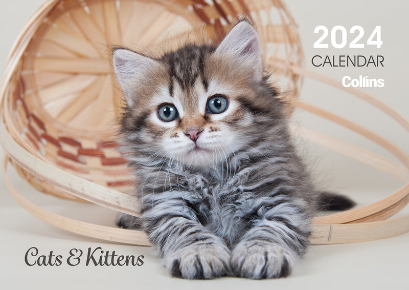 Collins Rosebank Wall Calendar A4 Cats & Kittens