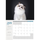 Collins Rosebank Wall Calendar A4 Cats & Dogs 2026