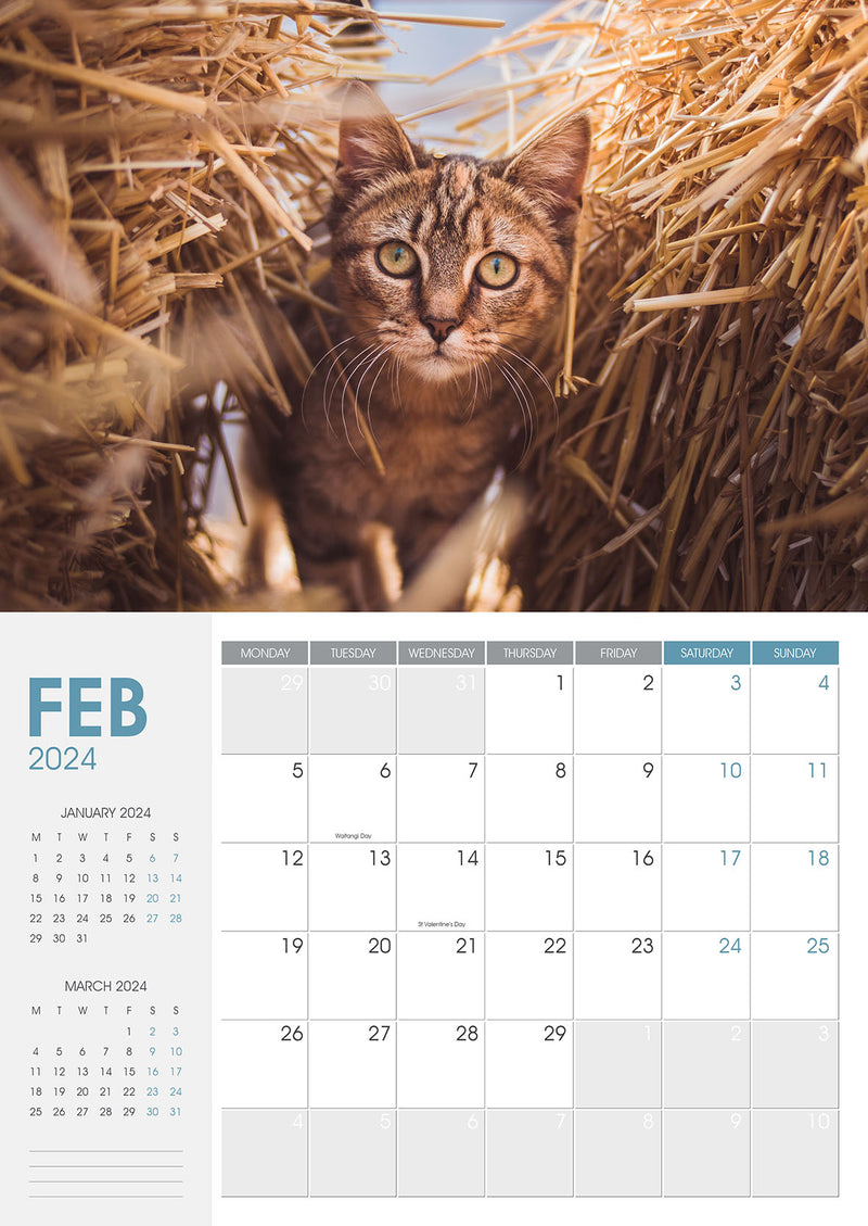 Collins Rosebank Wall Calendar A4 Cats & Kittens