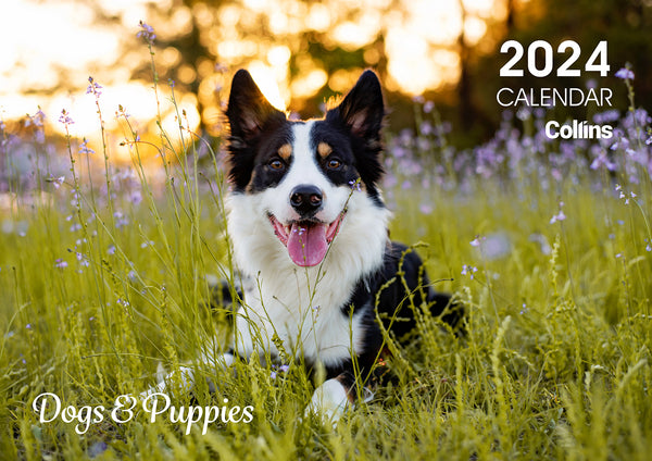 Collins Rosebank Wall Calendar A4 Dogs & Puppies