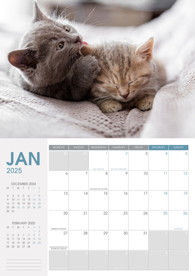 Collins A4 Cats & Dogs Wall Calendar