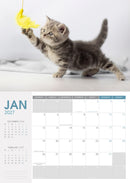 Collins Wall Calendar A4 Cats & Dogs 2027