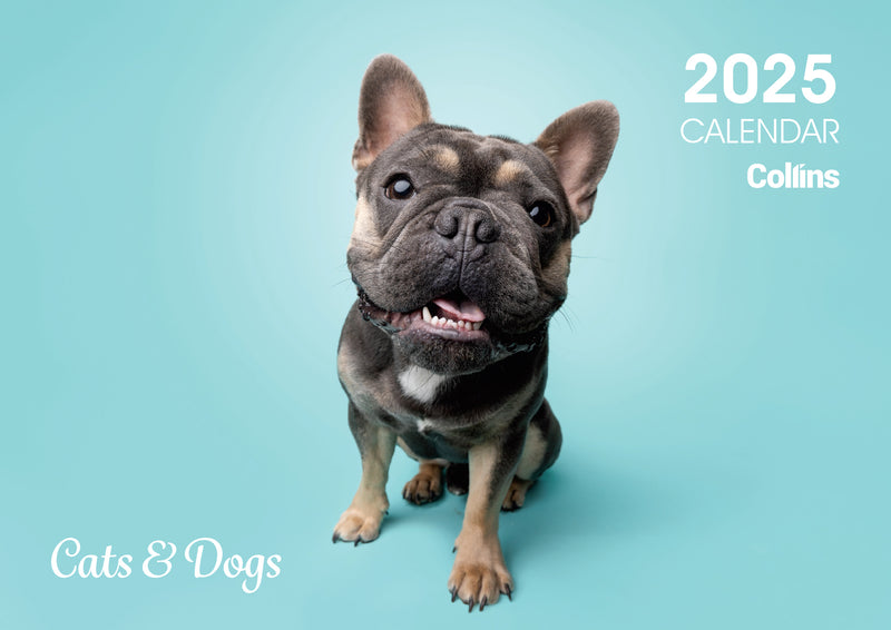 Collins A4 Cats & Dogs Wall Calendar