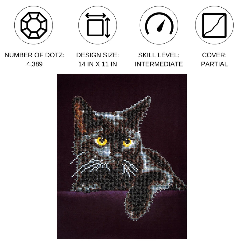 Diamond Dotz 28x36cm Diamond Painting Kit MIDNIGHT CAT 