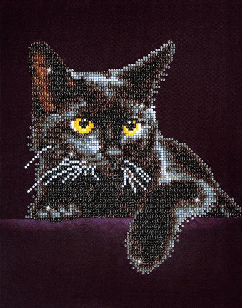 Diamond Dotz 28x36cm Diamond Painting Kit MIDNIGHT CAT 