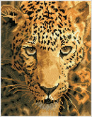 Diamond Dotz 10.8"x14.0" Diamond Painting Kit JAGUAR PROWL 
