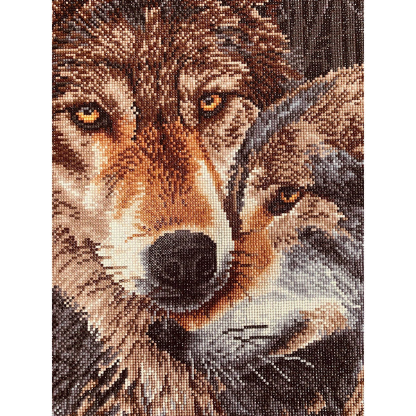 Diamond Dotz 16.5"x18.5" Diamond Painting Kit MUZZLE NUZZLE 