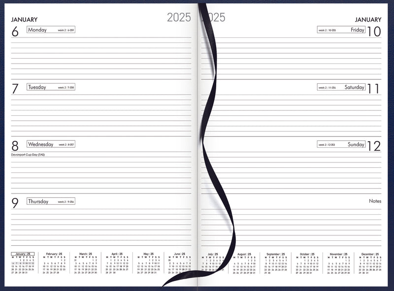 Collins A43 Diaries