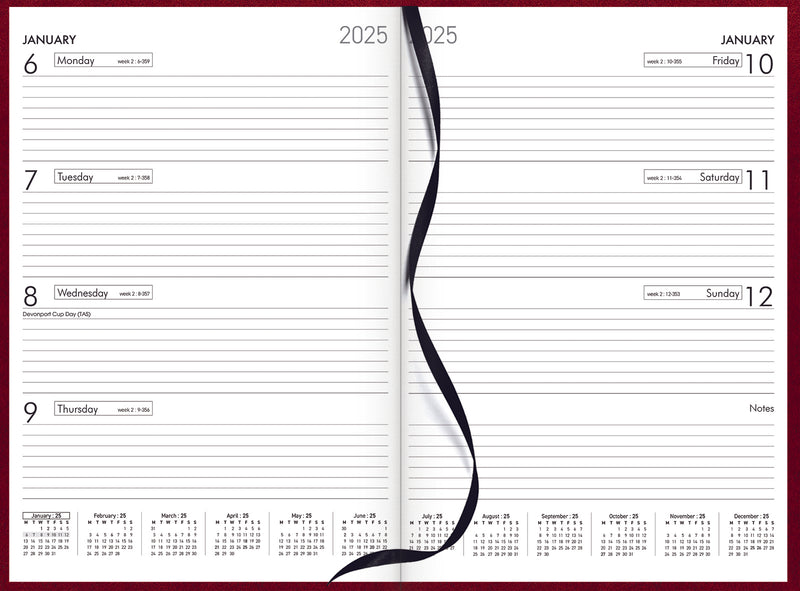 Collins A43 Diaries