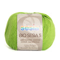 Sesia Bio 5 Organic Yarn 4ply#Colour_2473