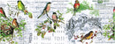 Tim Holtz Idea-Ology 6"X6yds Collage Paper Aviary