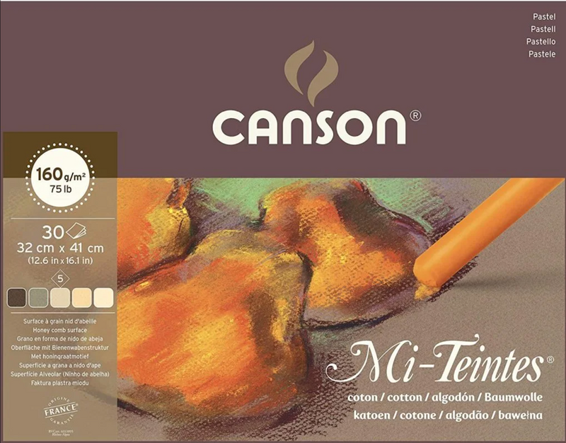 Canson Mi-Teintes Pad 160gsm Earths 30 Sheets