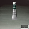 Winsor & Newton Professional Watercolour Paints 5ml N-Z#Colour_PERYLENE GREEN (S2)