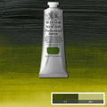 Winsor & Newton Professional Acrylic Paints 60ml#Colour_PERMANENT SAP GREEN (S3)