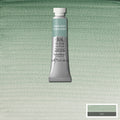 Winsor & Newton Professional Watercolour Paints 5ml N-Z#Colour_TERRE VERTE (S1)