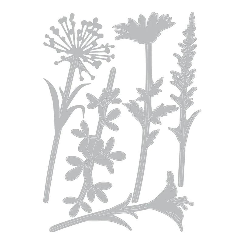 Sizzix by Tim Holtz Wildflower Stems