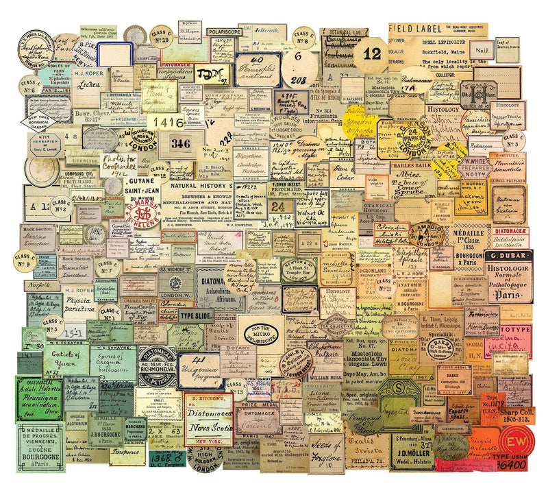 Tim Holtz Idea-Ology Ephemera Snippets Curator Pack of 233 Pieces
