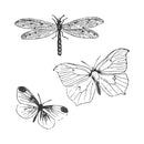Sizzix by 49 and Market Engraved Wings Framelits Die & Stamps Set