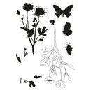 Sizzix By 49 And Market A5 Clear Stamps with Framelits Dies Painted Pencil Botanical 7 Pieces