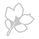 Sizzix By 49 And Market A5 Clear Stamps with Framelits Dies Painted Pencil Leaves 11 Pieces