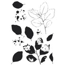 Sizzix By 49 And Market A5 Clear Stamps with Framelits Dies Painted Pencil Leaves 11 Pieces