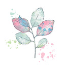 Sizzix By 49 And Market A5 Clear Stamps with Framelits Dies Painted Pencil Leaves 11 Pieces