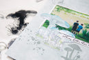 Sizzix By 49 And Market A5 Clear Stamps with Framelits Dies Painted Pencil Mushrooms 12 Pieces
