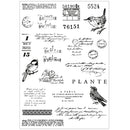 Sizzix By 49 And Market A5 Clear Stamps with Framelits Dies Bird Song 28 Pieces