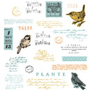 Sizzix By 49 And Market A5 Clear Stamps with Framelits Dies Bird Song 28 Pieces
