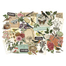 Tim Holtz Idea-Ology Organic Layers Die-Cuts 45 Pieces