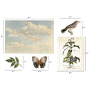 Tim Holtz Idea-Ology Organic Layers Die-Cuts 45 Pieces