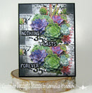 AALL And Create Layer-It-Up 25mm x 10m Thriving Terrarium Washi Tape