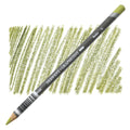 Derwent Graphitint Colouring Pencils#Colour_MEADOW