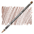 Derwent Graphitint Colouring Pencils#Colour_CHESTNUT