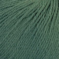 Chaska Muhu Baby Alpaca DK Yarn 8Ply#Colour_GREEN (767)